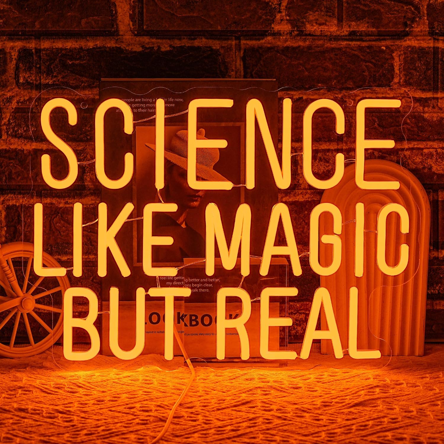 Science Like Magic But Real Ne - Science Hobbyist ulasan dan harga