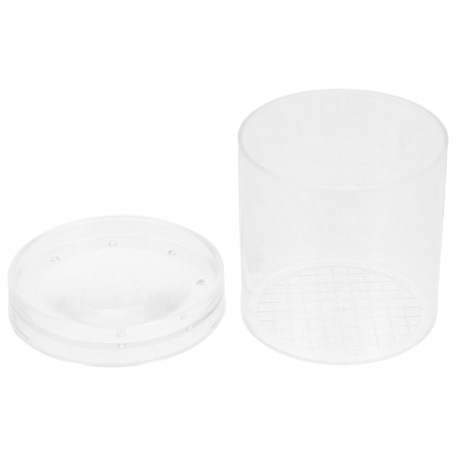 3X Magnifying Insect Observati - Science Toys ulasan dan harga