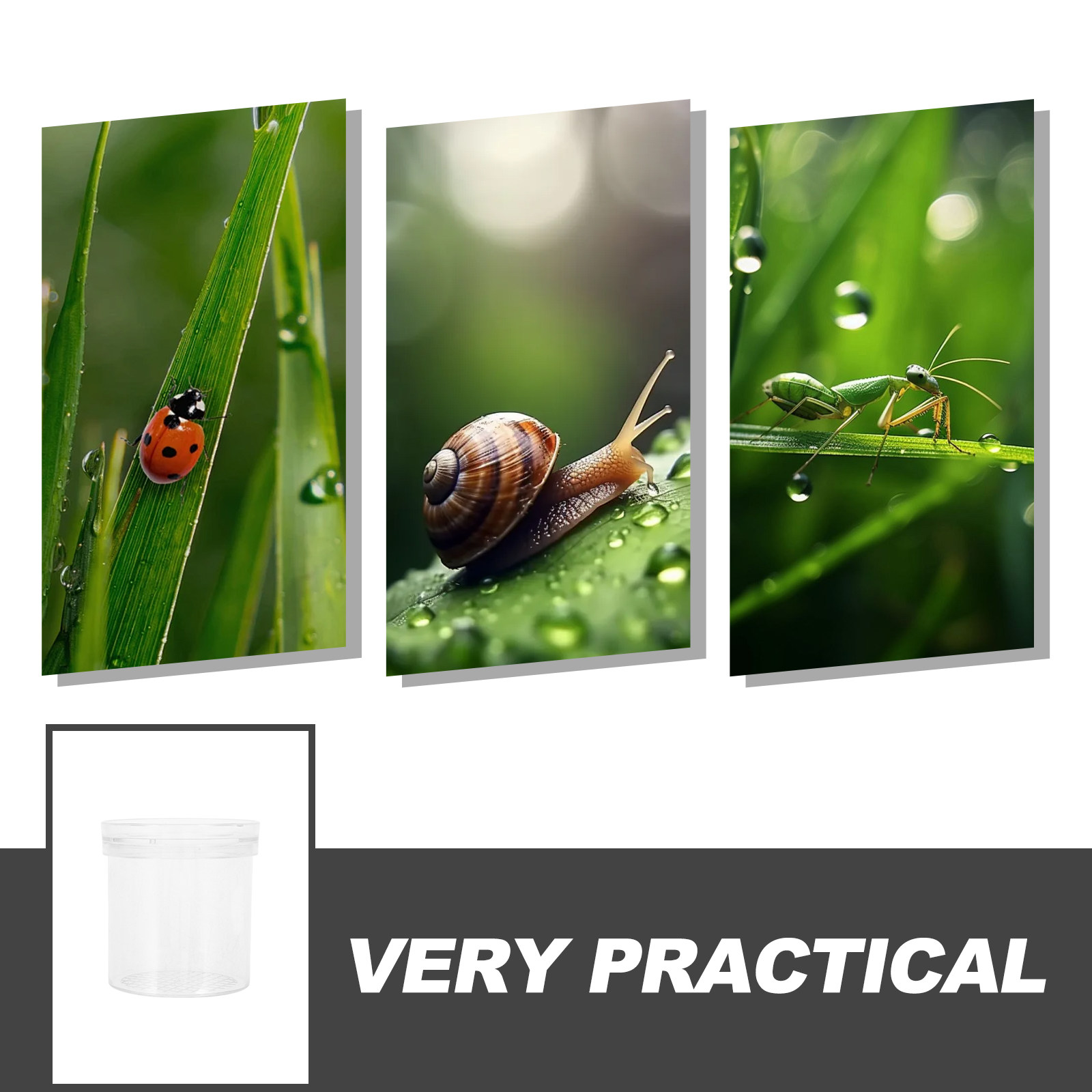 3X Magnifying Insect Observati - Science Toys ulasan dan harga