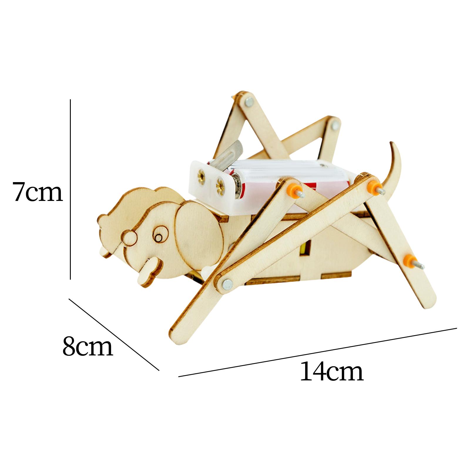 DIY Wooden Model Set Science K - Science Project Toys Making ulasan dan harga