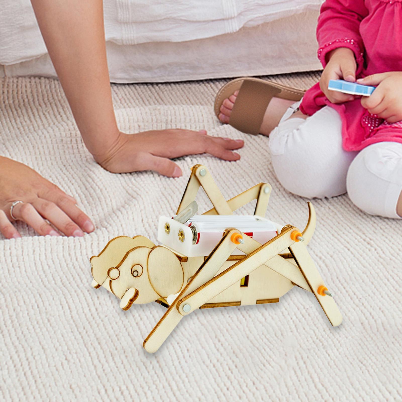 DIY Wooden Model Set Science K - Science Project Toys Making ulasan dan harga