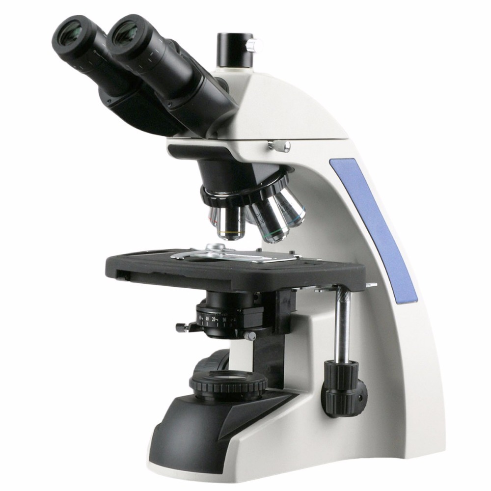 AmScope T720 Series Infinity-C - Amscope Microscope Compound 40X-1000X ulasan dan harga