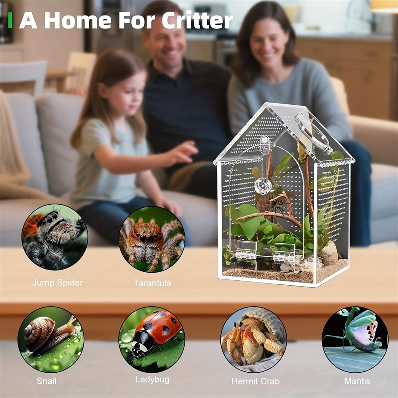 Transparent Acrylic House Inse - Science Hobbyist ulasan dan harga