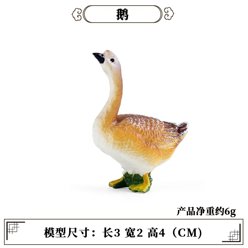 Education Teaching Tool Poultr - Science Toys ulasan dan harga