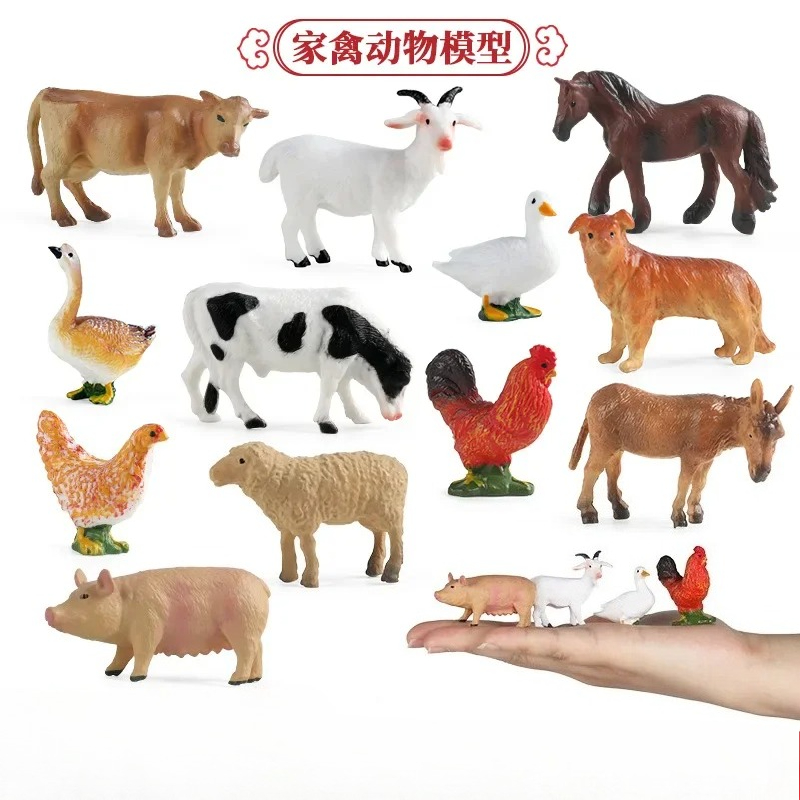 Education Teaching Tool Poultr - Science Toys ulasan dan harga